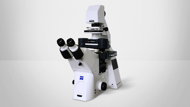 Forcerobot 300.